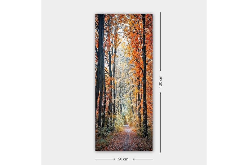 Canvasbilde DKY Floral & Botanical Flerfarget - 50x120 cm - Innredning - Bilder & kunst - Lerretsbilder