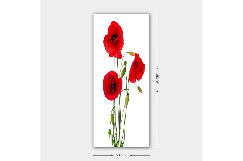 Canvasbilde DKY Floral & Botanical Flerfarget - 50x120 cm - Innredning - Bilder & kunst - Lerretsbilder