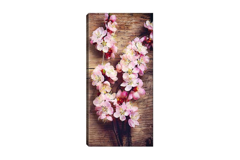 Canvasbilde DKY Floral & Botanical Flerfarget, 50x120 cm