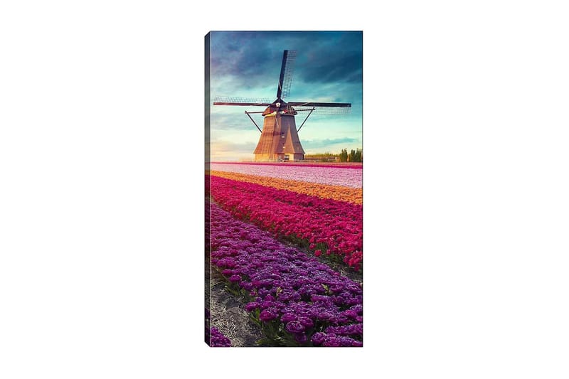 Canvasbilde DKY Landscape & Nature Flerfarget - 50x120 cm - Innredning - Bilder & kunst - Lerretsbilder