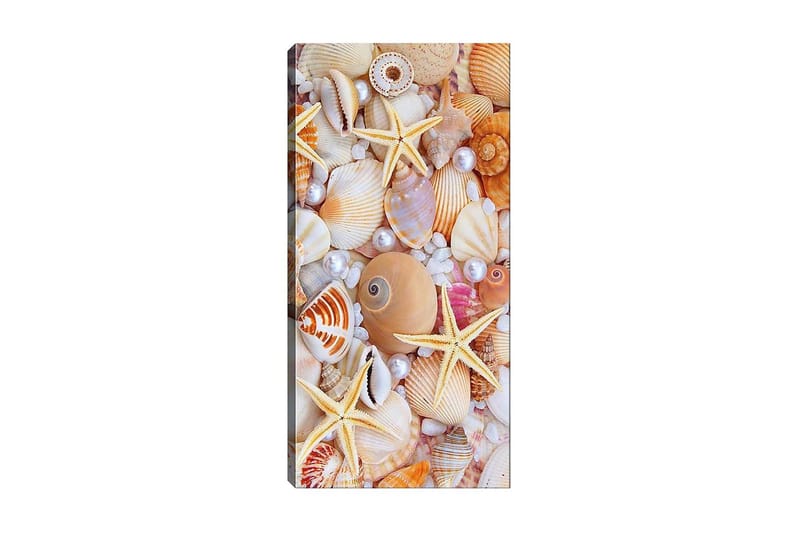 Canvasbilde DKY Nautical & Beach Flerfarget, 50x120 cm