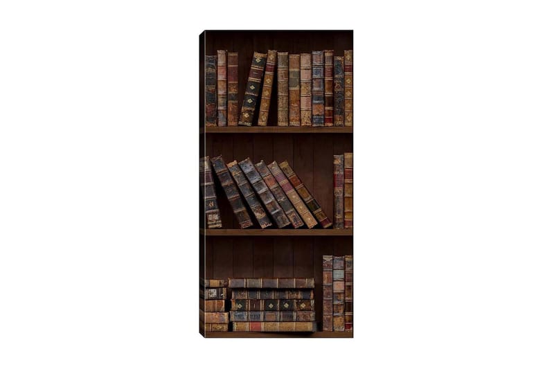 Canvasbilde DKY Reading and Literature Flerfarget - 50x120 cm - Innredning - Bilder & kunst - Lerretsbilder