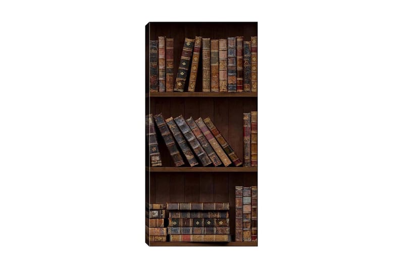 Canvasbilde DKY Reading and Literature Flerfarget - 50x120 cm - Lerretsbilder