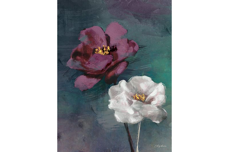 Canvasbilde Fiolett Rose - 66x08 cm - Lerretsbilder