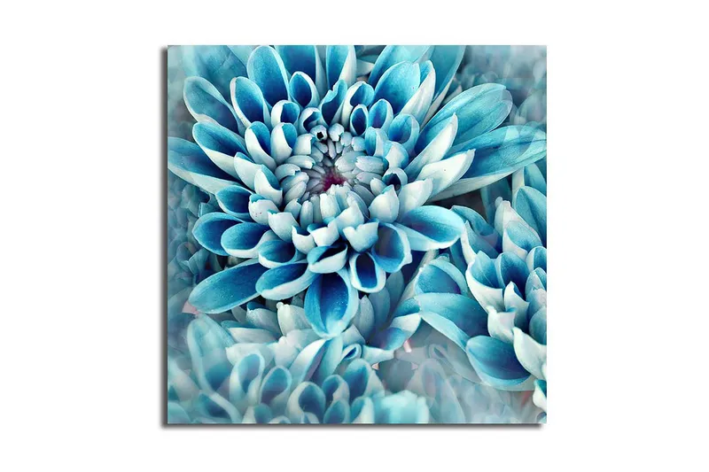 Canvasbilde Flerfarget, 44x54 cm