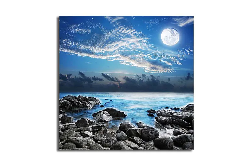 Canvasbilde Flerfarget, 44x54 cm