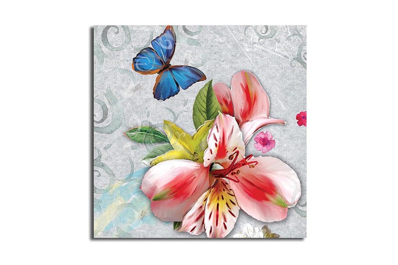 Canvasbilde Flerfarget, 44x54 cm