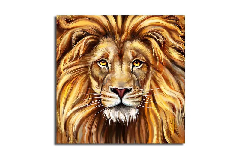 Canvasbilde Flerfarget, 44x54 cm