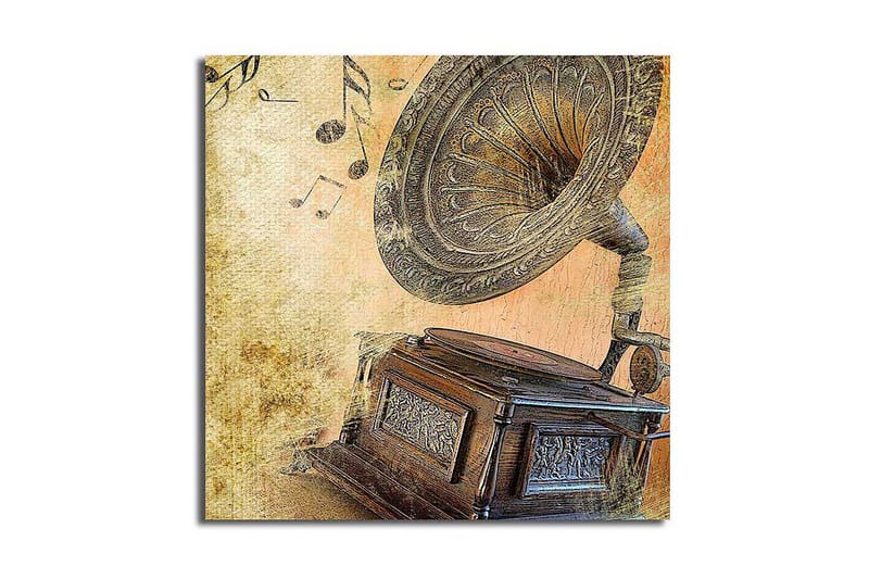 Canvasbilde Flerfarget, 44x54 cm