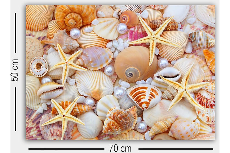 Canvasbilde Flerfarget - 55x07 cm - Innredning - Bilder & kunst - Lerretsbilder