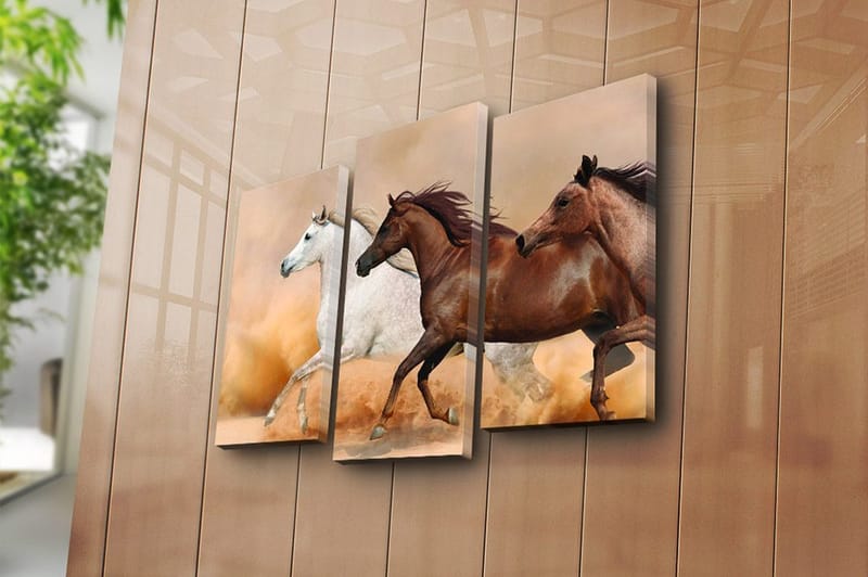 Canvasbilde Floral 3-pk flerfarget - 22x03 cm - Innredning - Bilder & kunst - Lerretsbilder