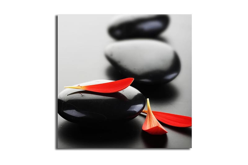 Canvasbilde Floral Flerfarget - 44x54 cm - Innredning - Bilder & kunst - Lerretsbilder