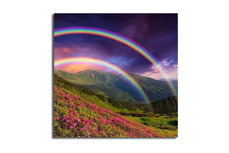 Canvasbilde Floral Flerfarget, 44x54 cm