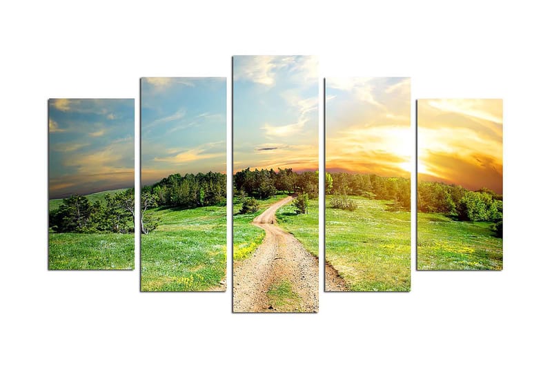 Canvasbilde Nature 5-pk Flerfarget - 22x06 cm - Innredning - Bilder & kunst - Lerretsbilder