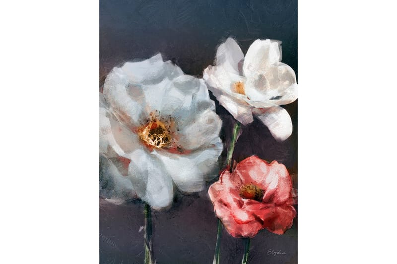 Canvasbilde Red Rose - 66x08 cm - Lerretsbilder