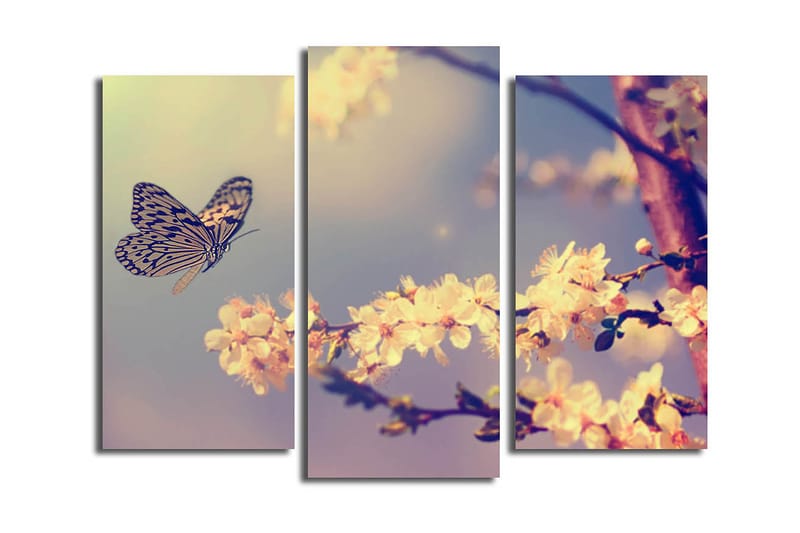 Canvasbilde Scenic 3-pk flerfarget - 22x03 cm - Innredning - Bilder & kunst - Lerretsbilder