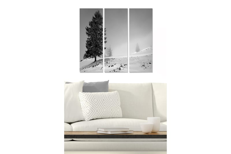 Canvasbilde Scenic 3-pk flerfarget - 22x05 cm - Innredning - Bilder & kunst - Lerretsbilder