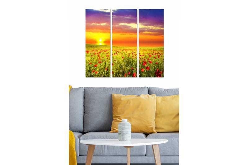 Canvasbilde Scenic 3-pk flerfarget - 22x05 cm - Innredning - Bilder & kunst - Lerretsbilder