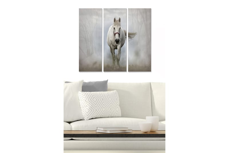 Canvasbilde Scenic 3-pk flerfarget, 22x05 cm