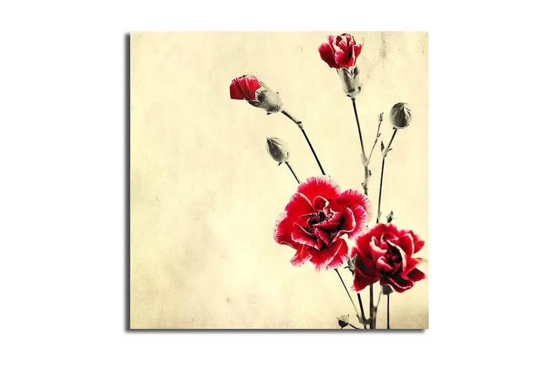 Canvasbilde Scenic Flerfarget, 44x54 cm