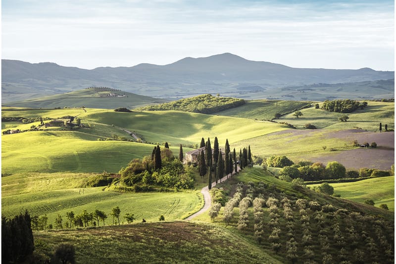 Canvasbilde Toscana - 88x012 cm - Lerretsbilder