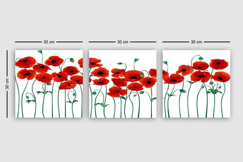 Canvasbilde VP Italy 3-pk Flerfarget - 33x03 cm - Innredning - Bilder & kunst - Lerretsbilder