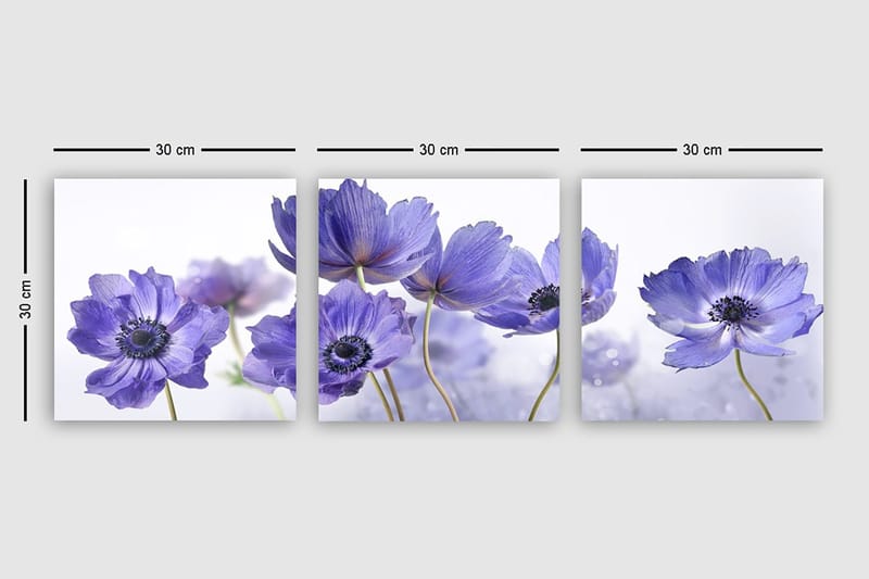 Canvasbilde VP Italy 3-pk Flerfarget - 33x03 cm - Innredning - Bilder & kunst - Lerretsbilder