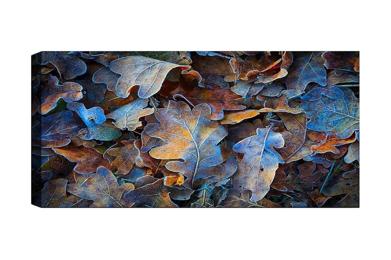 Canvasbilde YTY Abstract & Fractals Flerfarget - 120x50 cm - Innredning - Bilder & kunst - Lerretsbilder
