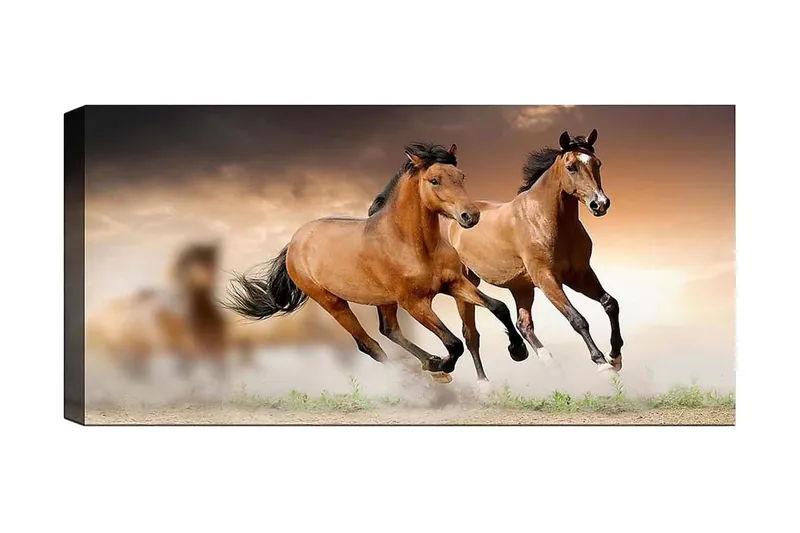 Canvasbilde YTY Animals Flerfarget, 120x50 cm