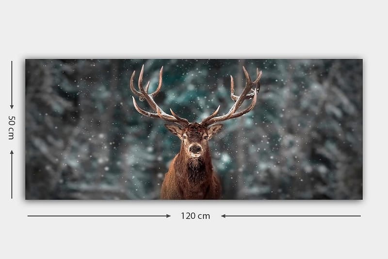 Canvasbilde YTY Animals Flerfarget - 120x50 cm - Innredning - Bilder & kunst - Lerretsbilder