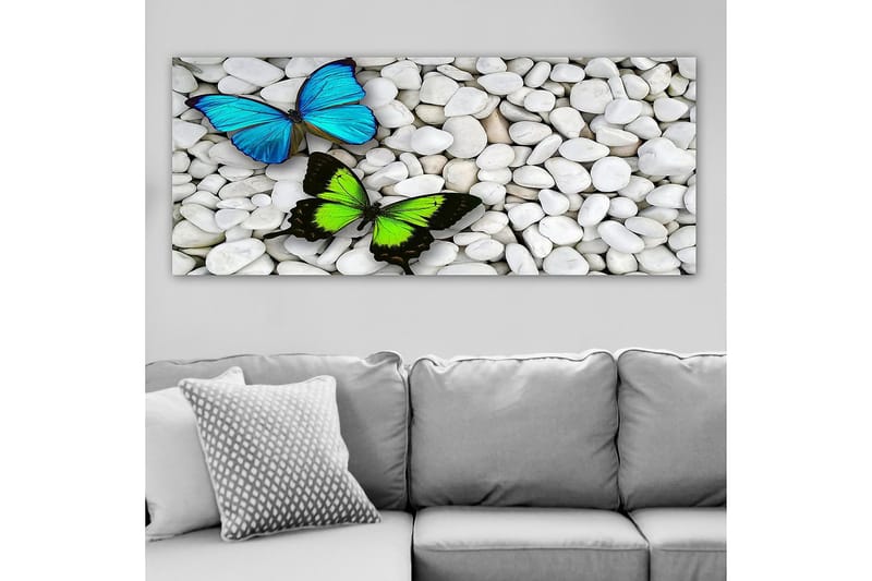 Canvasbilde YTY Animals Flerfarget - 120x50 cm - Innredning - Bilder & kunst - Lerretsbilder