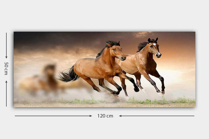 Canvasbilde YTY Animals Flerfarget - 120x50 cm - Innredning - Bilder & kunst - Lerretsbilder