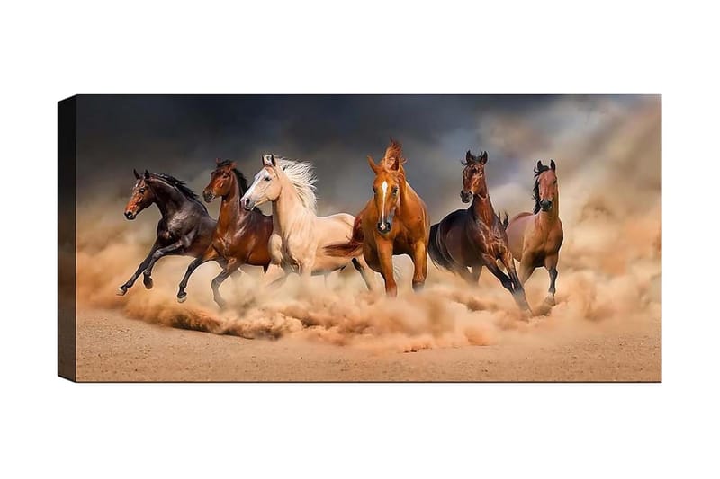 Canvasbilde YTY Animals Flerfarget - 120x50 cm - Innredning - Bilder & kunst - Lerretsbilder