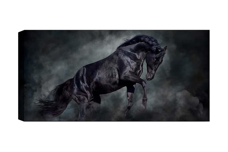Canvasbilde YTY Animals Flerfarget - 120x50 cm - Innredning - Bilder & kunst - Lerretsbilder