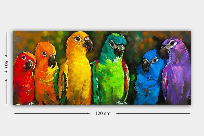 Canvasbilde YTY Animals Flerfarget - 120x50 cm - Innredning - Bilder & kunst - Lerretsbilder