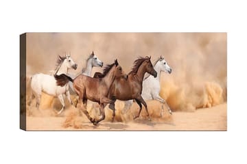 Canvasbilde YTY Animals Flerfarget - 120x50 cm - Innredning - Bilder & kunst - Lerretsbilder