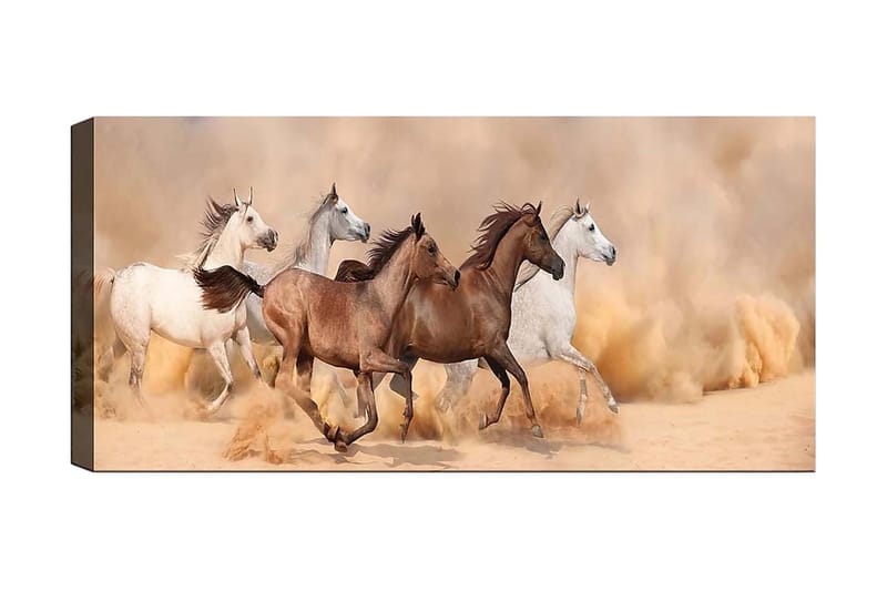 Canvasbilde YTY Animals Flerfarget - 120x50 cm - Innredning - Bilder & kunst - Lerretsbilder