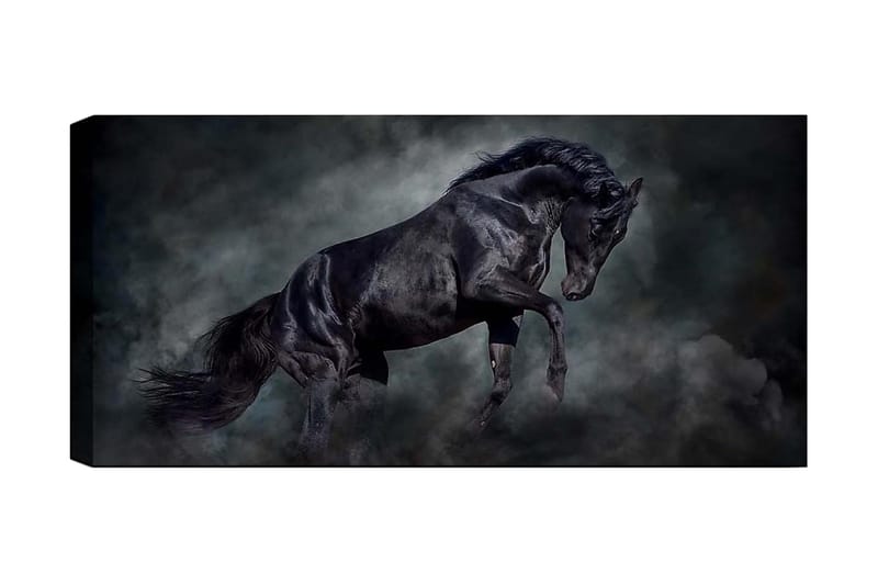 Canvasbilde YTY Animals Flerfarget - 120x50 cm - Innredning - Bilder & kunst - Lerretsbilder