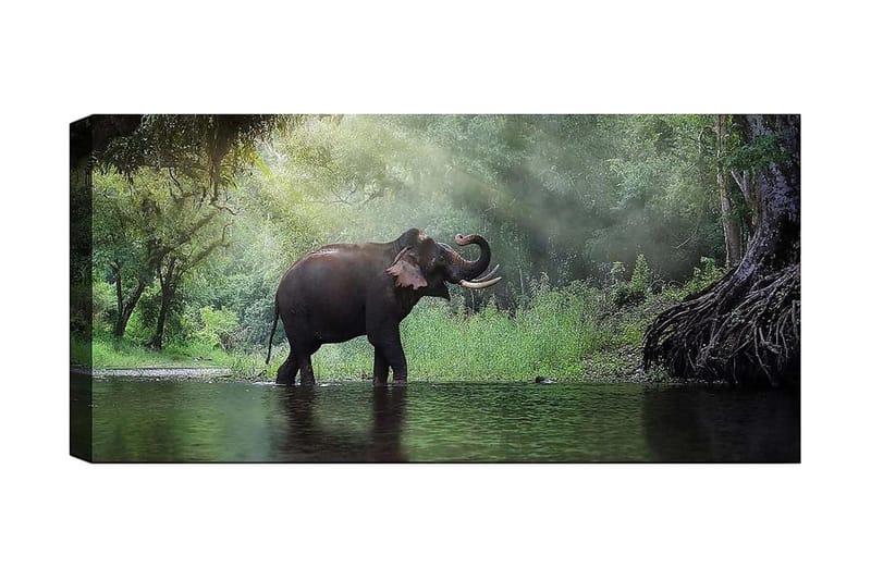 Canvasbilde YTY Animals Flerfarget - 120x50 cm - Innredning - Bilder & kunst - Lerretsbilder