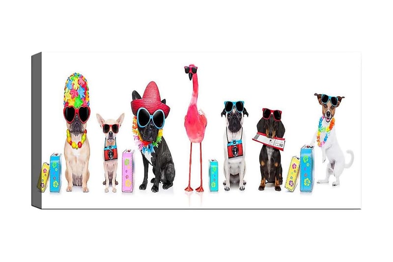 Canvasbilde YTY Animals Flerfarget - 120x50 cm - Innredning - Bilder & kunst - Lerretsbilder