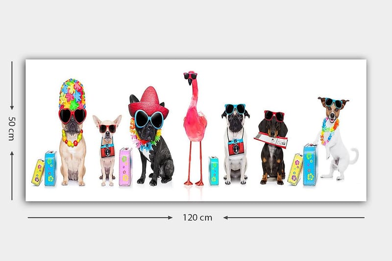 Canvasbilde YTY Animals Flerfarget - 120x50 cm - Innredning - Bilder & kunst - Lerretsbilder