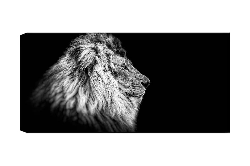 Canvasbilde YTY Animals Flerfarget - 120x50 cm - Innredning - Bilder & kunst - Lerretsbilder