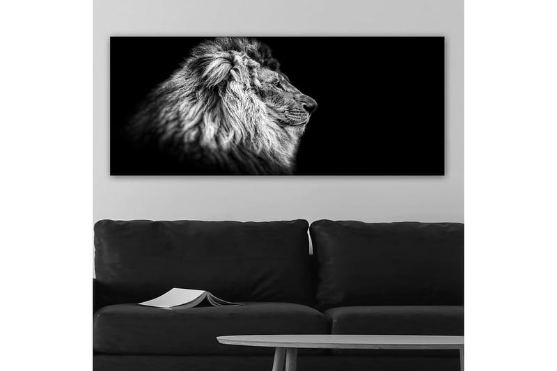 Canvasbilde YTY Animals Flerfarget - 120x50 cm - Innredning - Bilder & kunst - Lerretsbilder