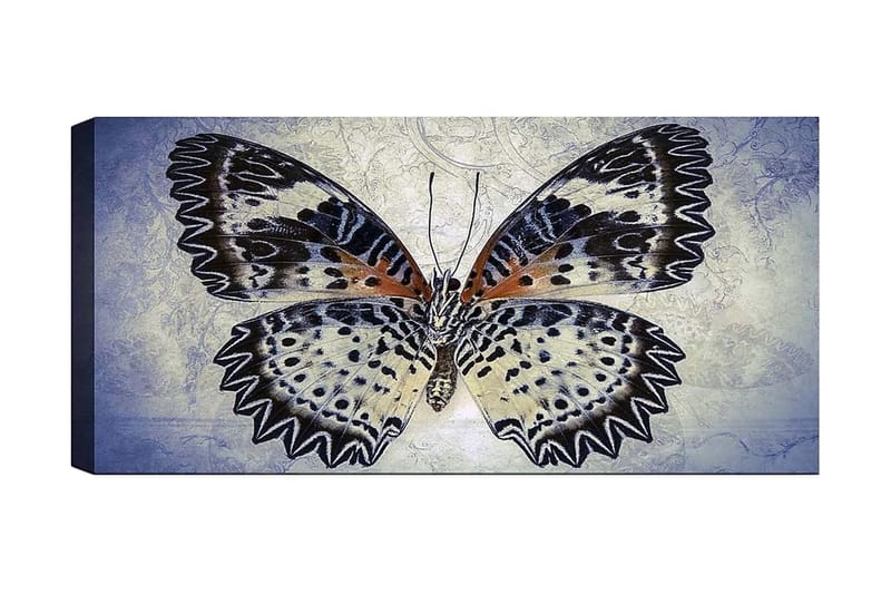 Canvasbilde YTY Animals Flerfarget - 120x50 cm - Innredning - Bilder & kunst - Lerretsbilder