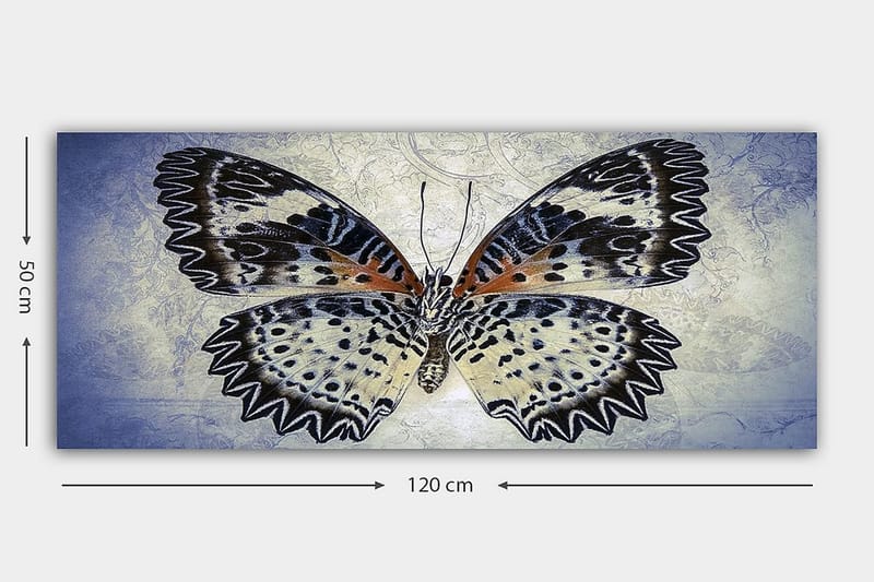 Canvasbilde YTY Animals Flerfarget - 120x50 cm - Innredning - Bilder & kunst - Lerretsbilder