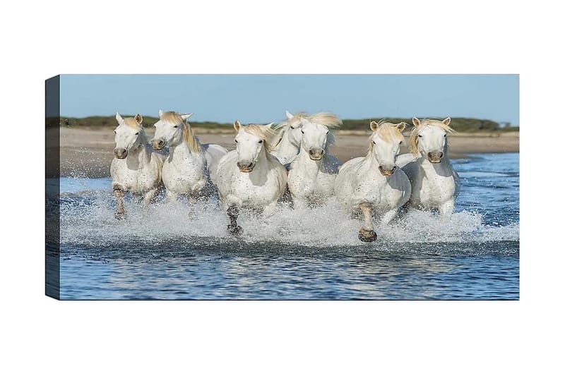 Canvasbilde YTY Animals Flerfarget - 120x50 cm - Innredning - Bilder & kunst - Lerretsbilder