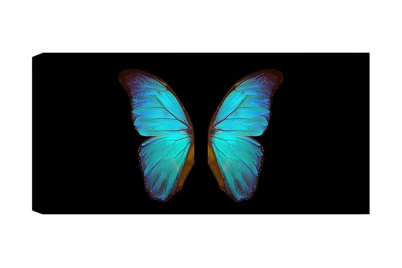 Canvasbilde YTY Animals Flerfarget - 120x50 cm - Innredning - Bilder & kunst - Lerretsbilder