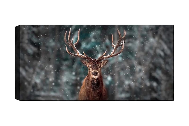 Canvasbilde YTY Animals Flerfarget - 120x50 cm - Innredning - Bilder & kunst - Lerretsbilder