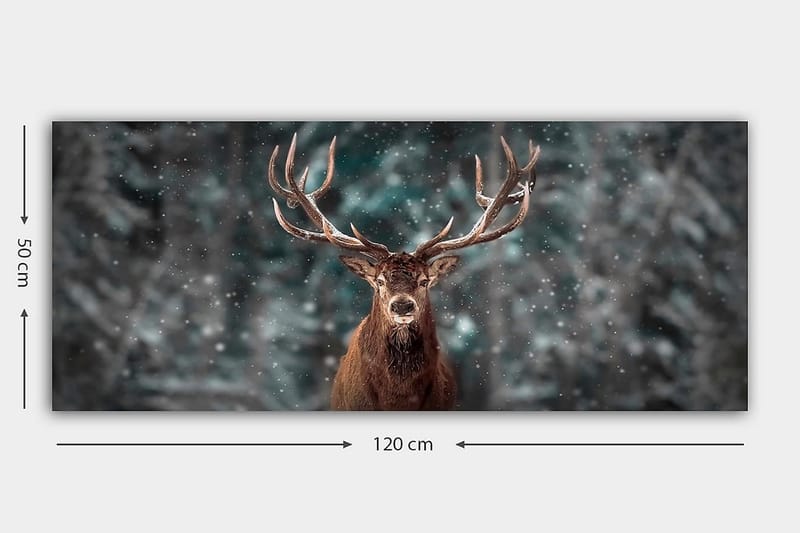 Canvasbilde YTY Animals Flerfarget - 120x50 cm - Innredning - Bilder & kunst - Lerretsbilder