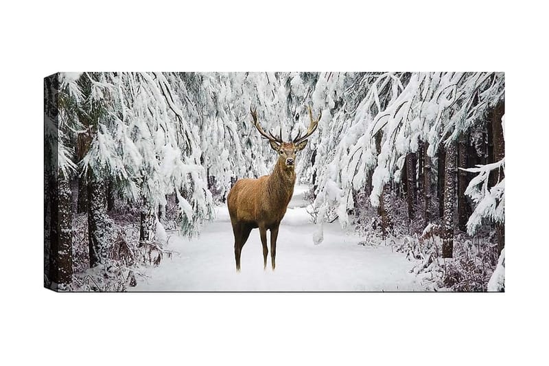 Canvasbilde YTY Animals Flerfarget - 120x50 cm - Innredning - Bilder & kunst - Lerretsbilder